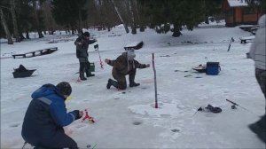 Динамичная рыбалка на верхнем водоёме. Клёвое место, Лосиный остров.
