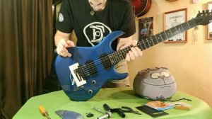 Отстройка гитары БЕЗ СПЕЦИАЛЬНЫХ ИНСТРУМЕНТОВ Часть 1. ☝️😎🎸