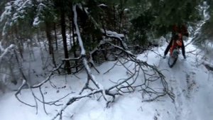 Предновогодняя покатуха 28.12.24.