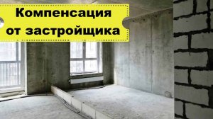 Не сдают квартиру - что делать/Как получить компенсацию от застройщика