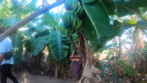 Iberostar Selection Holguin Cuba a walk-through