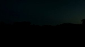 СТРАУС УБЕЖАЛ ! РЫСЬ ОХОТИТСЯ РЯДОМ ! КУПИЛ ХУТОР В ЛЕСУ ! СТРОЮ СВОЮ УСАДЬБУ ! №30