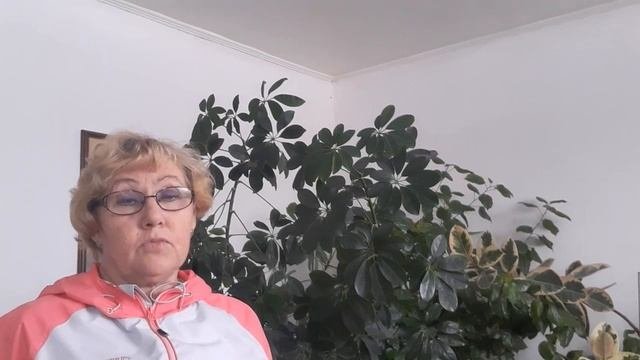 Шеффлера