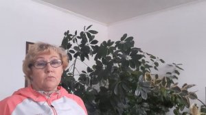Шеффлера