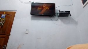 Simba and Mufasa vs Scar and Zira