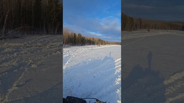 Трелевочник приуныл, но мы ему поможем