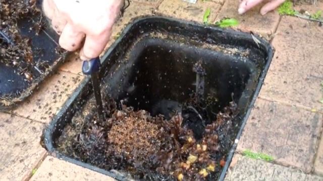 Семья просто хотела проверить счётчик воды и нашла эту ужасающую картину... смотреть онлайн