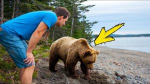 Плачущий медведь умоляет человека о помощи. Он бледнеет, когда узнает Почему!