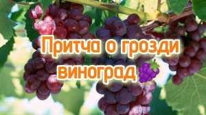 Притча о грозди винограда