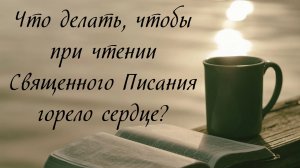 Что делать, чтобы при чтении Священного Писания горело сердце?