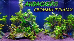 Акваскейп с камнями и корягами для выставки аквариумных рыбок 2025 спустя 70 дней!