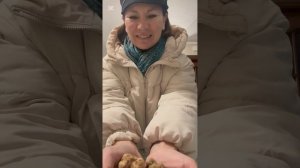 За белым трюфелем едем к охотнику в гости .