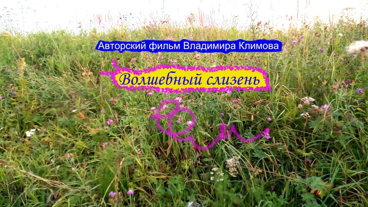 Волшебный слизень