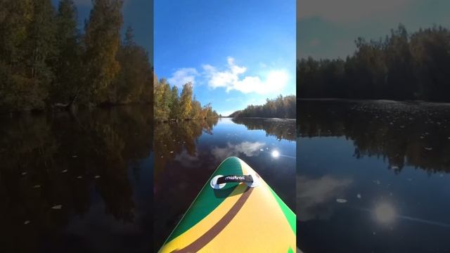 река Юнтоловка осенью #supsurfing  #insta360onex2 #standuppaddle #saintpetersburg #autumn