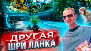 Другая Шри Ланка | Все включено как в Турции? Самый дорогой чай!