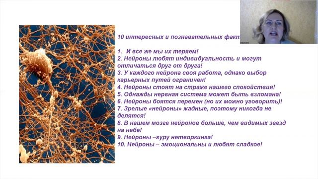 Информационная встреча: ТГП "ИС-38Ю" и шампунь для волос "ФАЛЬТОНЭ", Иванова А.М. смотреть онлайн