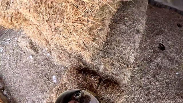 ЛОМАЕТСЯ ВСЁ ! АЭРАЦИЯ ПРУДА ! КУПИЛ ХУТОР В ЛЕСУ ! СТРОЮ СВОЮ УСАДЬБУ № 29