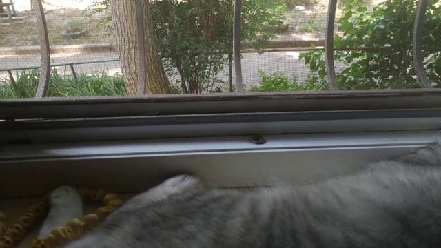 Как четки делать без света 👍✊