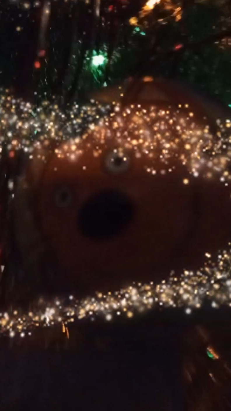 С наступающим новым годом.Наша ёлка.