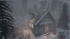 Прячась в огромной землянке во время снежной бури, спи вместе со мной в кустарниковом укрытии