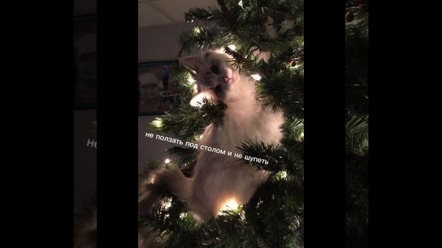 новогодние поздровление