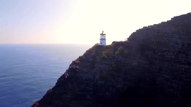 Ссылка на учение в виде фото внизу. смотреть онлайн