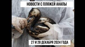 Новости с пляжей Анапы, 27 и 28 декабря 2024 года