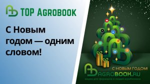 С Новым годом — одним словом! | TOP Agrobook