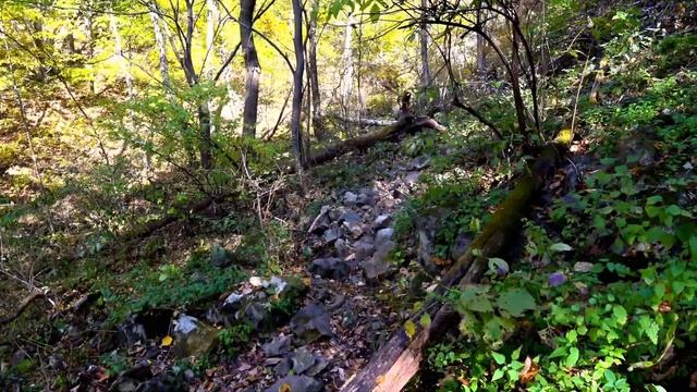 Водопад БЕРЕНДЕЙ. Золотая Осень. Там где растёт Бадан. Тайга Приморская Уссурийская.