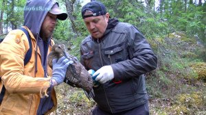 Остров Ряшков. Северная инспекция. Кандалакшский морской заповедник. Официальная видеопрезентация.