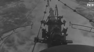 45. №1. История одного корабля.  АПЛ  “Морская лисица “.