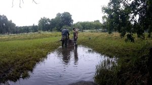 КАРП *** Полный цикл - Гипофиз, получение икры, оплодотворение, молоко, аппараты,  личинки