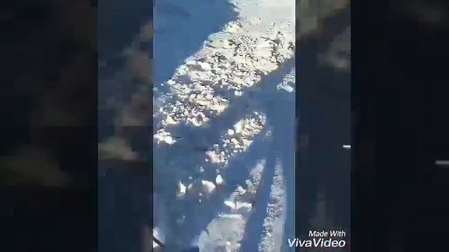 Me dog смотреть онлайн