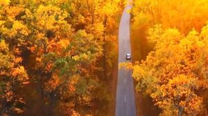 Осень - Королева красоты  Самая красивая мелодия в мире! Лечебная музыка