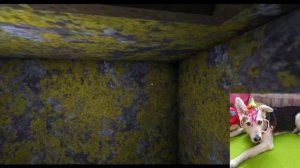 Собака играет в гренни,новое обновление+баг.