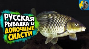 РУССКАЯ РЫБАЛКА 4 - Как поймать трофей в новый год ?