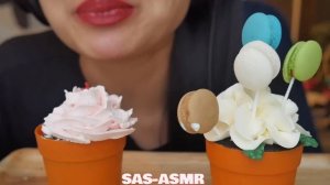 ASMR Mini MACARON + Flower Pot Cake (EATING SOUNDS) NO TALKING | SAS-ASMR