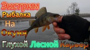 #рыбалка #fishing #окунь #2024 #клюет #БЕРИ РУЖЬЁ НА ОТКРЫТИЕ НОВОГО ЛЕСНОГО ВОДОЁМА ЭКСТРИМ ПОХОД