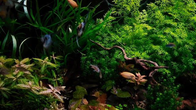 V 20180207 145950 смотреть онлайн