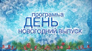 Информационная программа «День» от 28 декабря 2024 года. Первый мытищинский (12+)