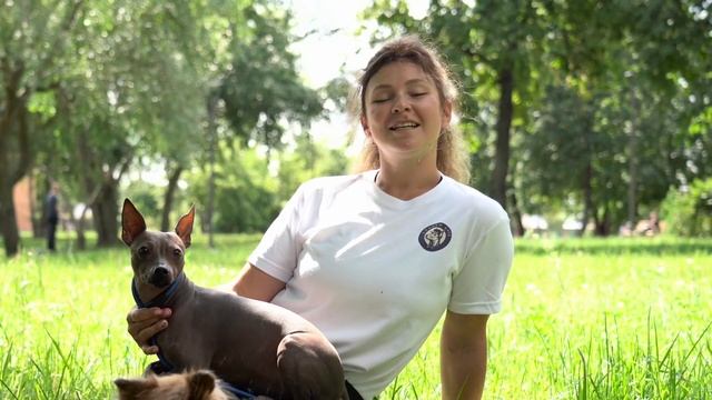 Авторский онлайн-курс Александры Солнцевой "Дог-фитнес от А до Я" смотреть онлайн