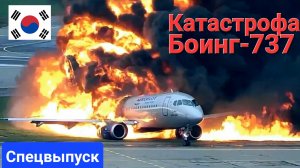 ✈️Боинг-737🔥 разбился в Южной Корее после попадания птиц в двигатель.