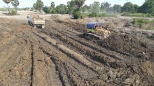 Строительство, планировка, сплошная грязь