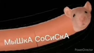 мышка сосиска 130 сек mouse sausage 130 sec