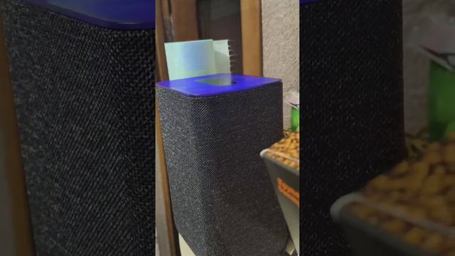 АЛИСА FM