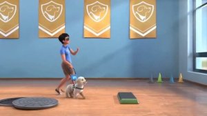 Собака Поводырь