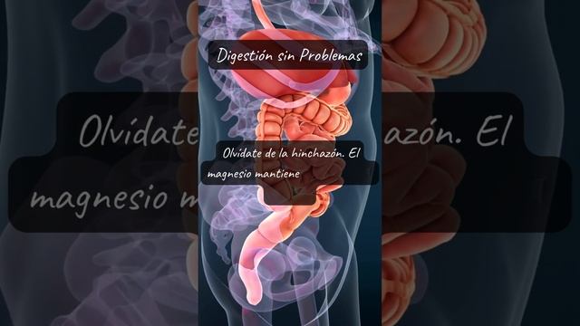 "Magnesio y Digestión: Adiós a la Hinchazón y Malestar 🌿" смотреть онлайн