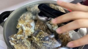 【English sub】小章退潮后赶海,沙滩遍地是拳头大的血蛤,吐着红色的舌头【赶海小章】