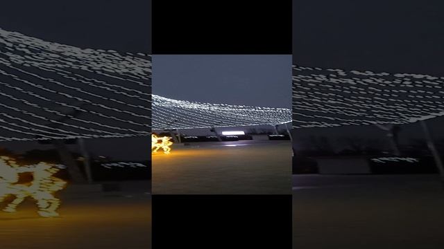 1000008438.mp4 Ёлочка в Мариуполе.Инна Гетц.
