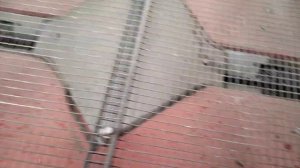 Сеялка точного высева MaterMacc 
MS 8100 экспресс-обзор от Евгения Поваляева